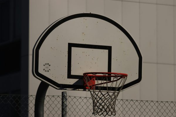 Basket ball Net